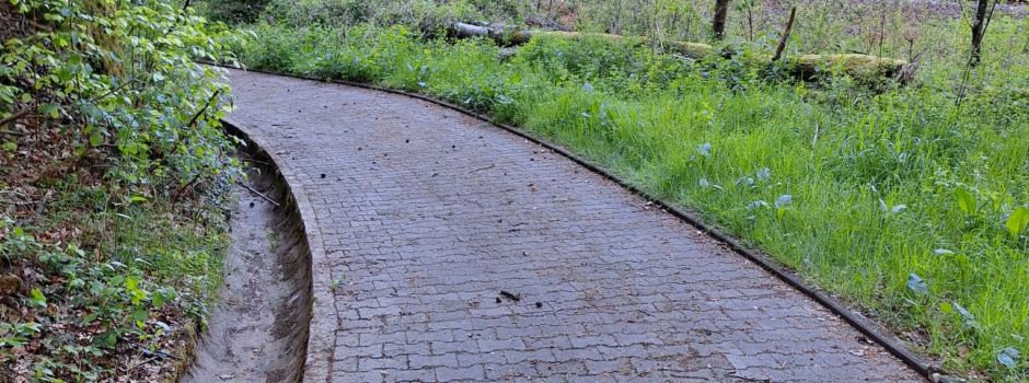 Wirtschaftsweg und Wassergraben wieder frei