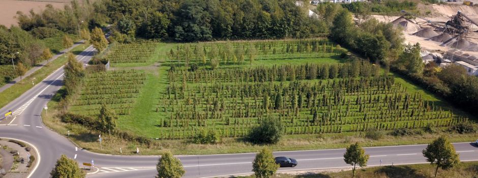 Zentrale Unterbringungseinrichtung für Flüchtlinge: Informationen der Stadt Niederkassel zum laufenden Bürgerbegehren