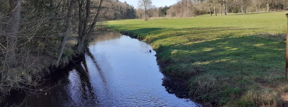 Wichtige Lebensader im Heidekreis: Drei Tage entlang der Böhme wandern