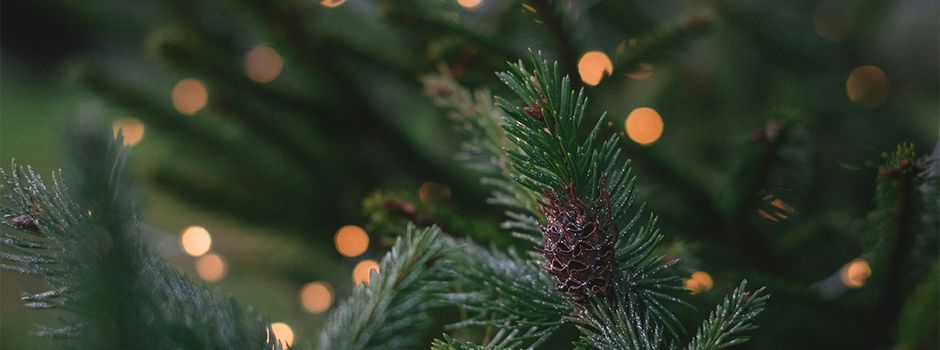 Tradition trifft Vorweihnachtszeit: Dolgesheimer Weihnachtsmarkt mit Tannenbaumschmücken