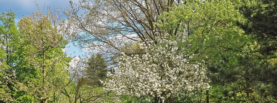 Aktion „Frühjahrsputz an Wald- und Wegerändern“  

