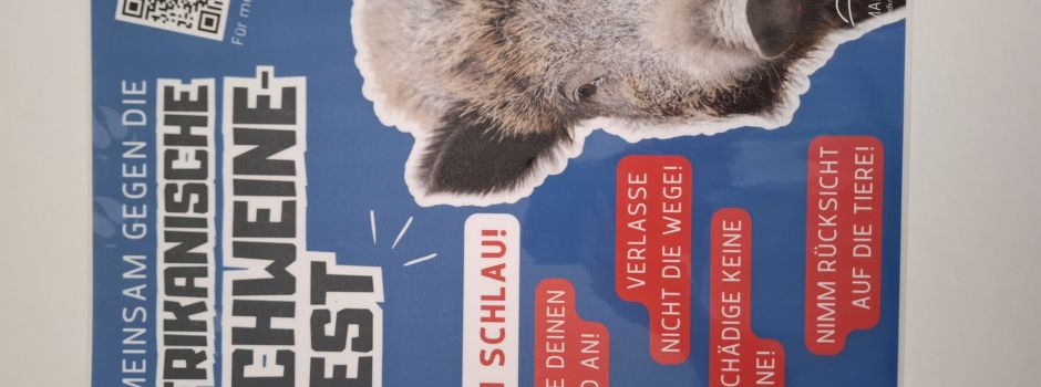 Afrikanische Schweinepest