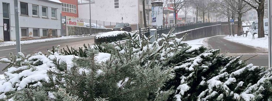 Aus Christbäumen wird Kompost: Stadt richtet Sammelplätze ein