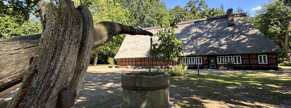 Spiel, Spaß und gute Gesellschaft