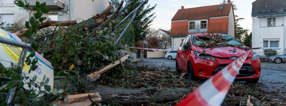 Schwere Sturmböen in Mainz: Baum kracht in Auto