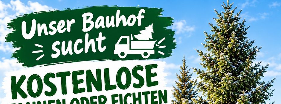 Große Tannen gesucht