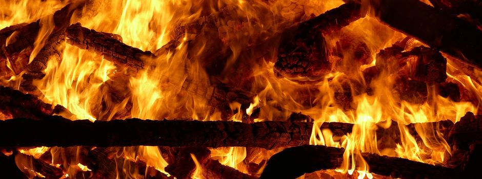 Holz für Martinsfeuer