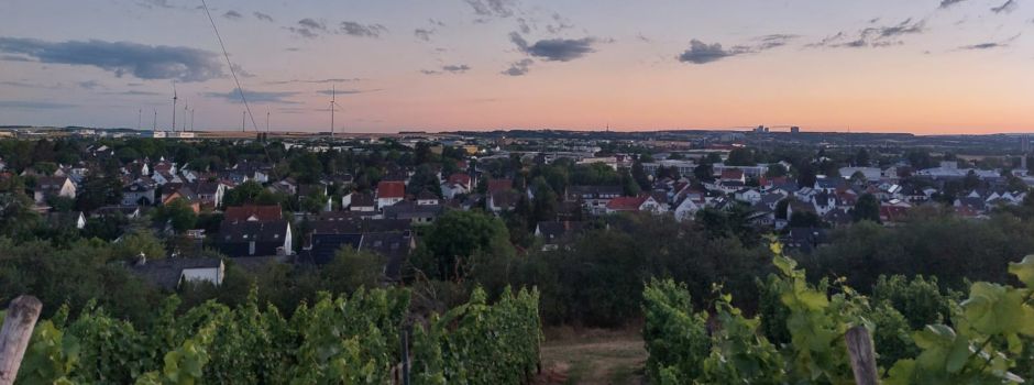 Hechtsheimer Ortsvorsteher-Wahl: Das sind die Kandidaten