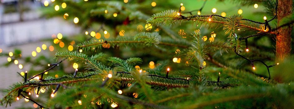 Weihnachtsbaumweitwurf mit Lagerfeuer – Ein Fest für alle! 🔥🎄