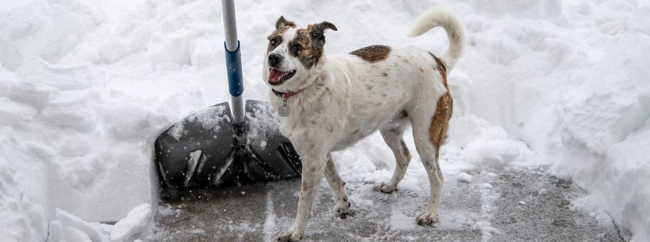 Straßenreinigungssatzung der Gemeinde Neu Gülze
