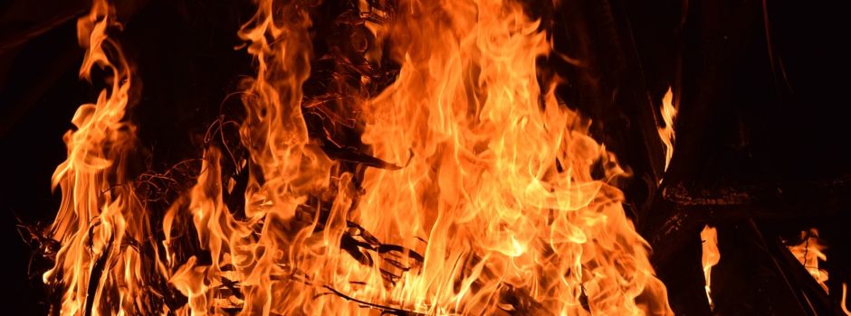 🔥Holzsammeln für das St. Martinsfeuer