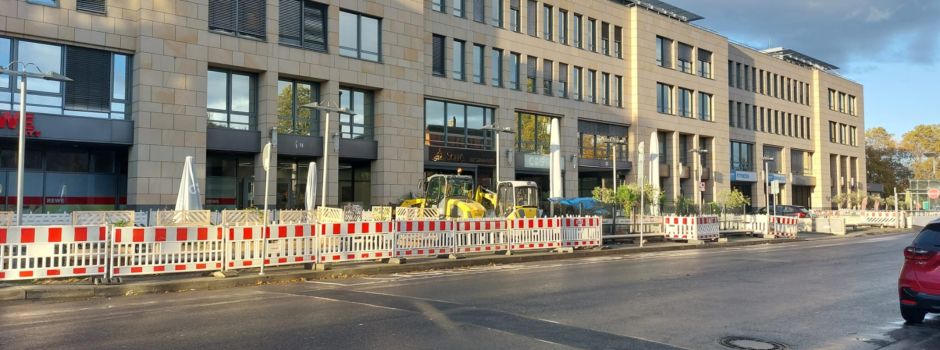 Kahlschlag: 18 Bäume in Mainzer Altstadt verschwunden