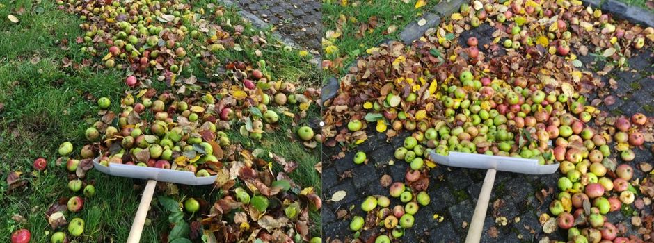 Schneeschaufel im Herbst – macht das Sinn?