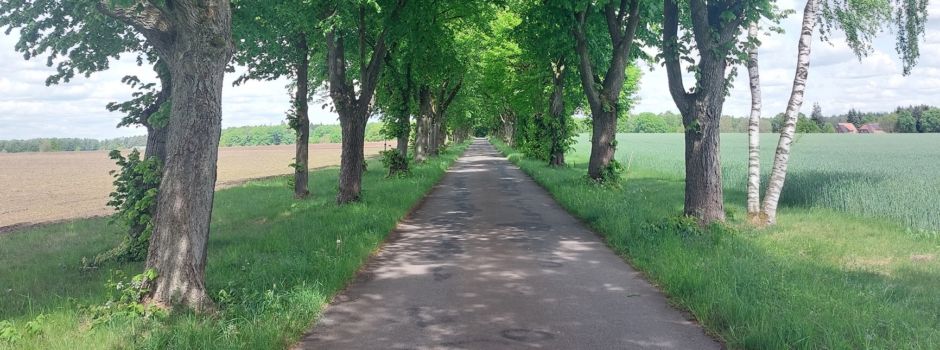 Grüne Bänder, die sich durch die offene Landschaft ziehen
