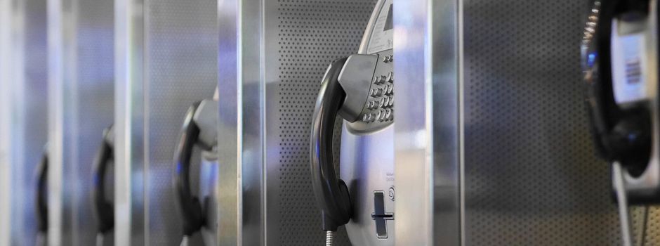 Einrichtung eines Bürgertelefons für die Geflügelpest