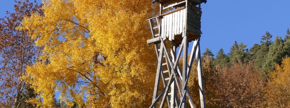 Hochsitze auf eigenem Grund und Boden