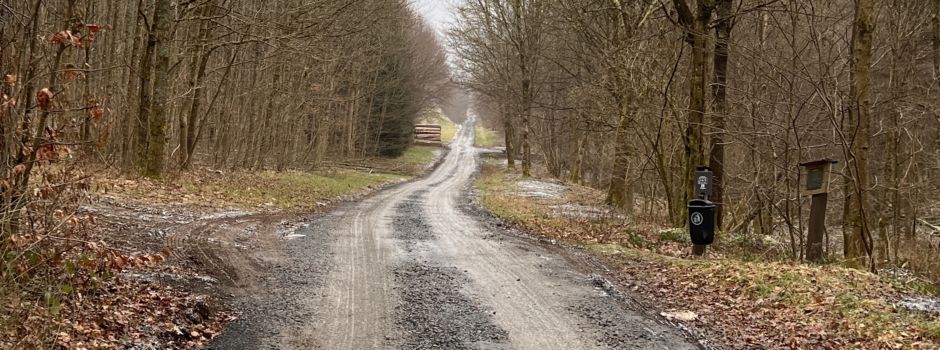 Baustellenupdate Nr. 4