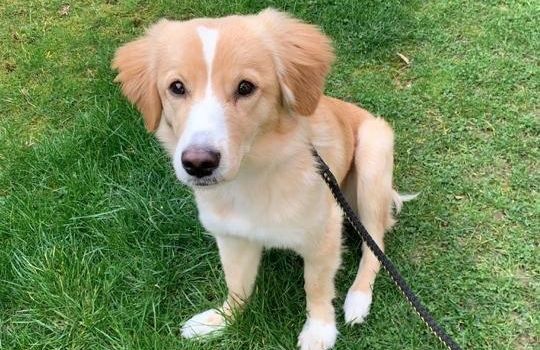 Alle Jahre wieder... Brut- und Setzzeit zwischen dem 01. April und 15. Juli