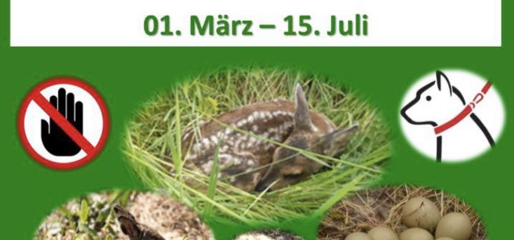 Informationen zur Brut- und Setzzeit: 01. März bis 15. Juli
