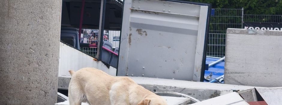 Wir unterstützen die Rettungshundestaffel Donnersberg e.V. auf der Suche nach Ehrenamtlerinnen und Ehrenamtlern