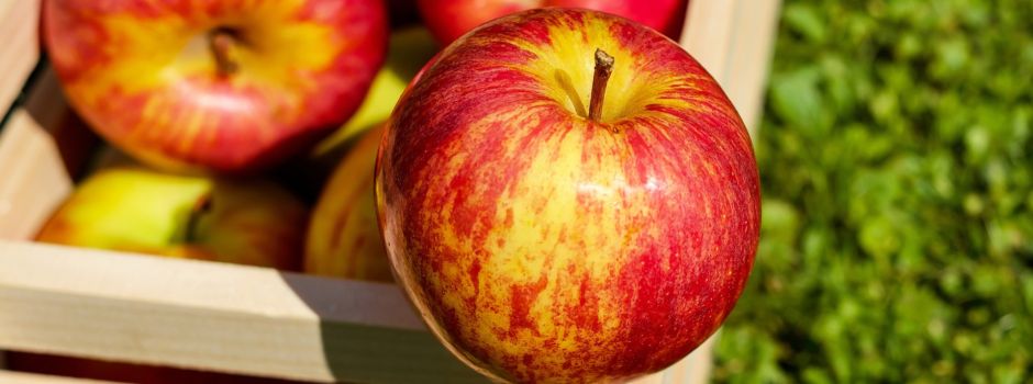 5 leckere Apfel-Ideen - und wo ihr sie bekommt