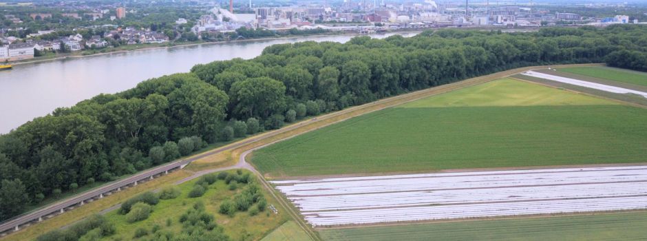 SPD und Stadt Niederkassel streiten sich um Deichpflege