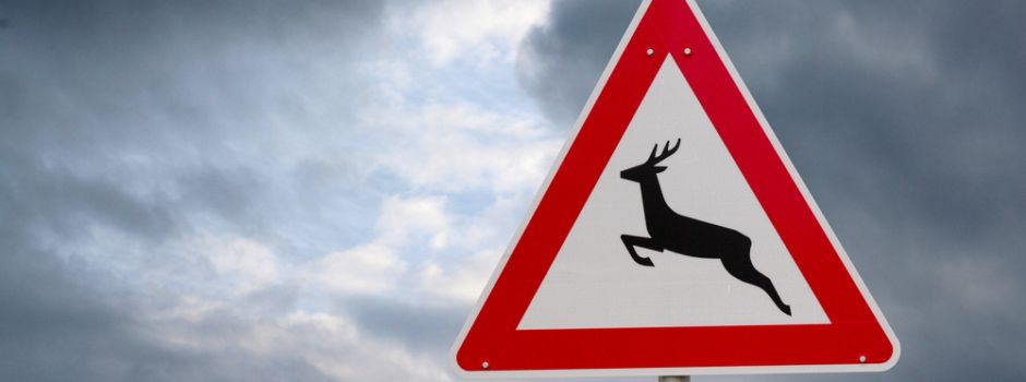 A60: Verwirrung um neues „Tempolimit durch die Hintertür“?