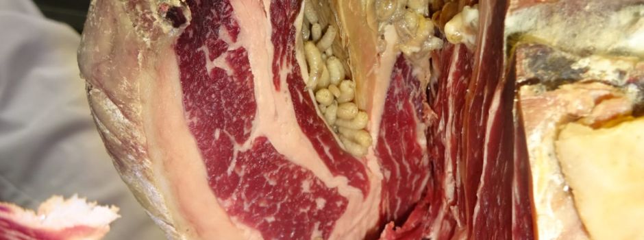 Luxus-Fleisch mit Fliegen-Larven übersät: Metzgerei darf aber weiter öffnen