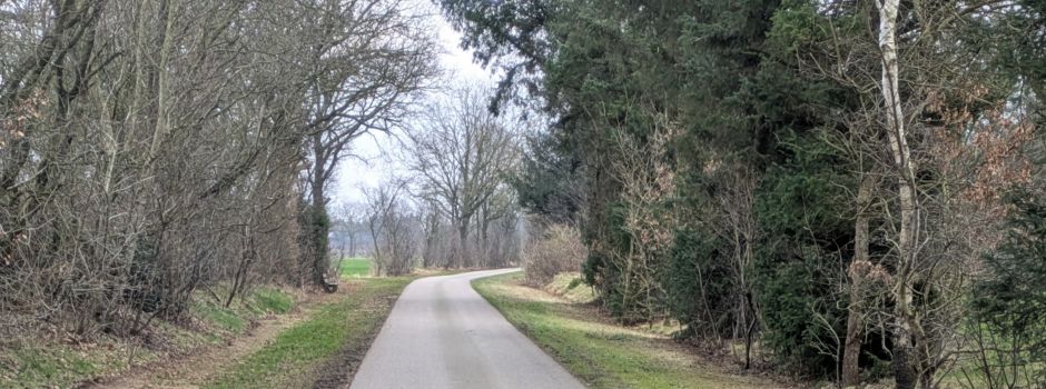 Knickpflegearbeiten begonnen