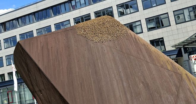 Bienenschwarm sorgt vor der Agentur für Arbeit in Mainz für Aufsehen