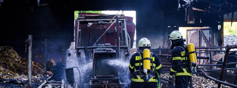 Über 40 Kühe sterben bei Feuer in Scheune