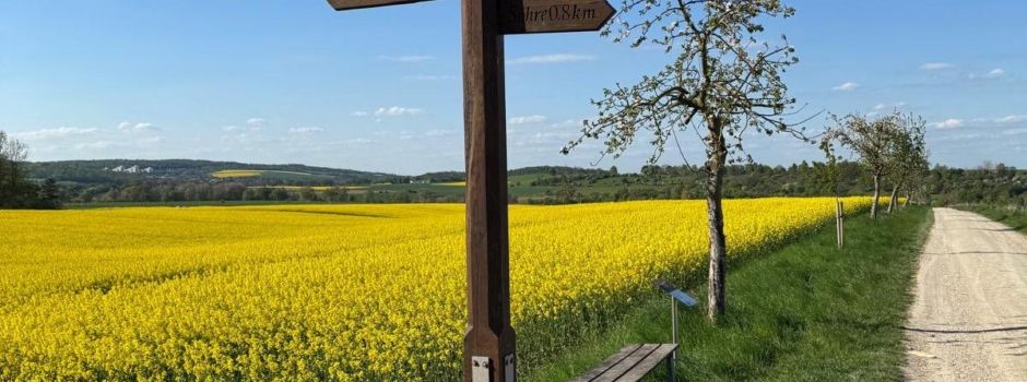 Sommertour Wandernadel Hildesheimer Wald
