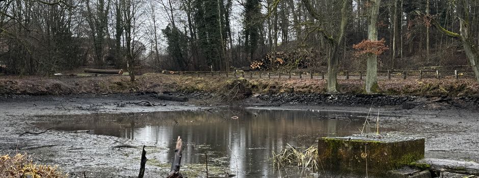 Baubeginn Landgrafenteich