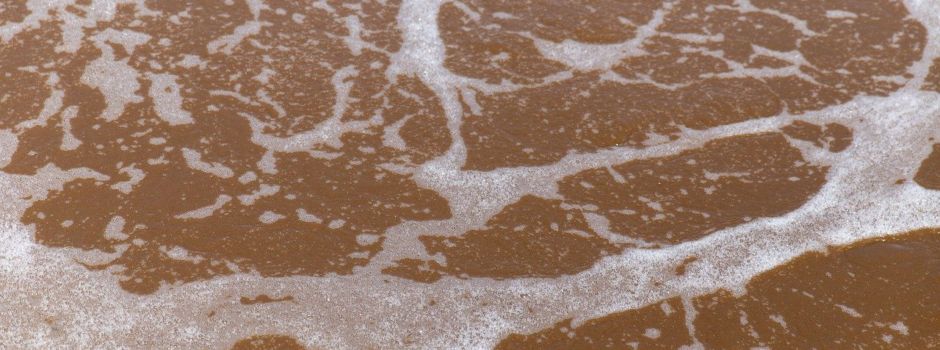 Überraschender Fund: Polio-Viren in Mainzer Abwasser entdeckt