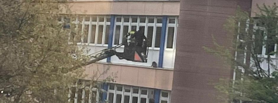 Waschbär an Wiesbadener Schule löst Feuerwehreinsatz aus