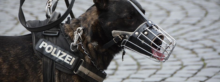 Polizei verfolgt Unfallverursacher mit Hund und Drohne