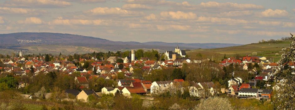 Frühlingsfest auf dem Weiselhof in Ingelheim