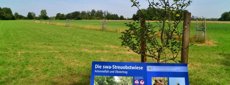 Die neue „swa Streuobstwiese“: Augsburgs grüner Beitrag zur Artenvielfalt