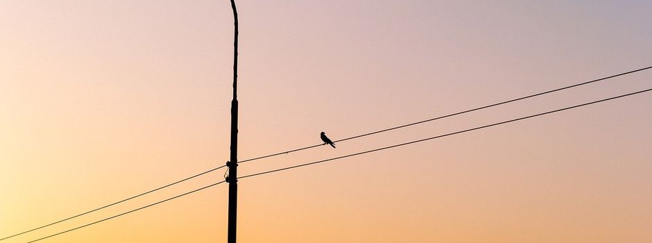 Beleuchtungskonzept vorgestellt