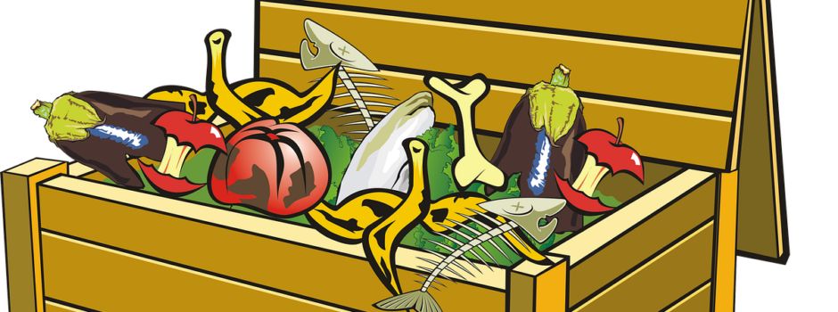 Grünschnitt gehört nicht in die Natur