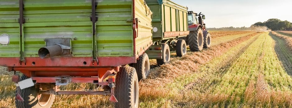 Kinder fahren zum Nulltarif mit