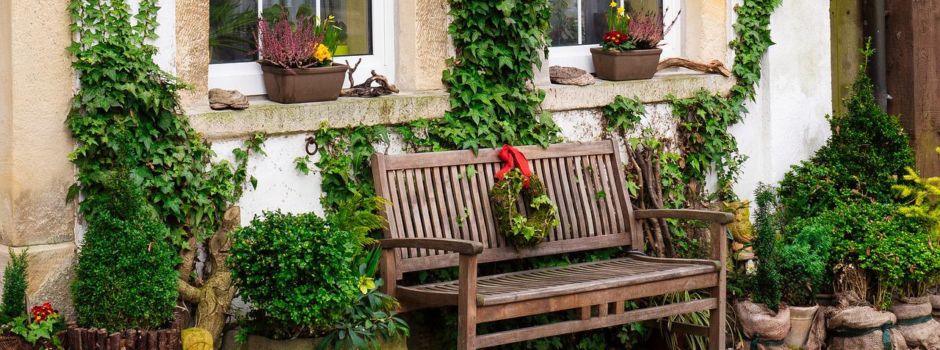 Ein Stadtteil als Klimaschützer: Draiser starten einzigartiges Projekt in Mainz