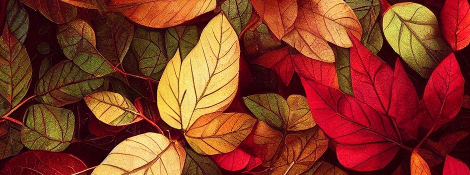 Herbstfest der Gruppe 50plus in Pinnow