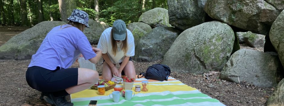 Jetzt online: Picknick³ an den Großen Sloopsteenen