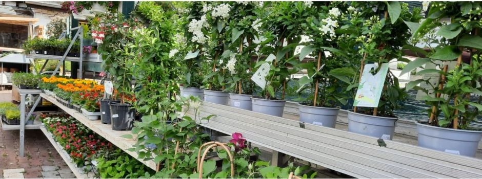 Traditionsgeschäft in Wiesbaden geschlossen