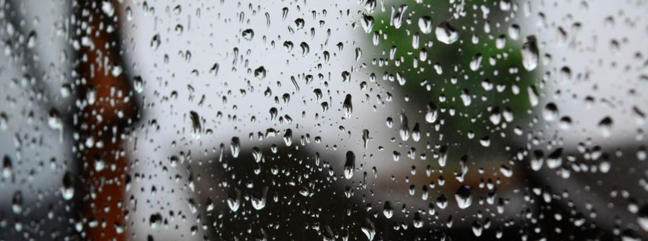 Nanu?! Frühling in Mainz doch anders als gedacht