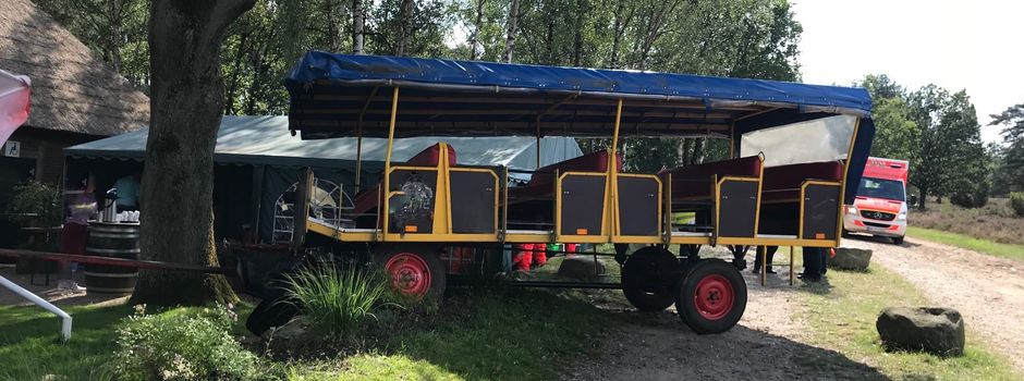 Schwerer Kutschenunfall beim Höpen
