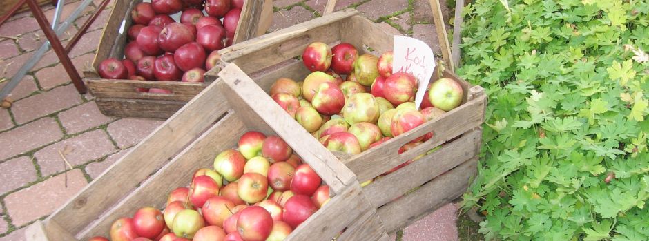 Heimatverein sagt Apfelmarkt ab