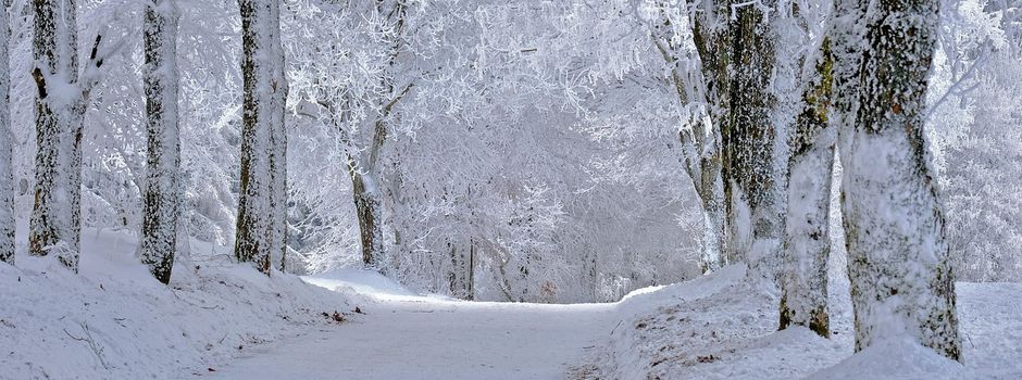 Unterrichtsausfall am 26. Januar 2026 im Landkreis Helmstedt