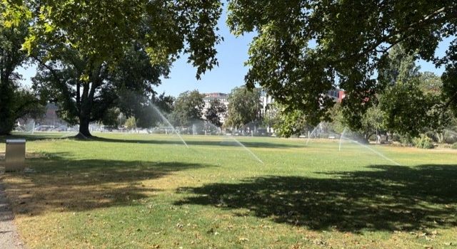 Stadt Wiesbaden verteidigt Bewässerung der Reisinger Anlagen